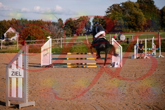 2026_10_03_Siefer-Hof_171540_Z81_13018440 | Professionelle Reitsport-, Turnier- und Eventfotografie von Robert Broda. Galerien mit ausgewählten und bearbeiteten Bildern direkt online ansehen und bestellen.