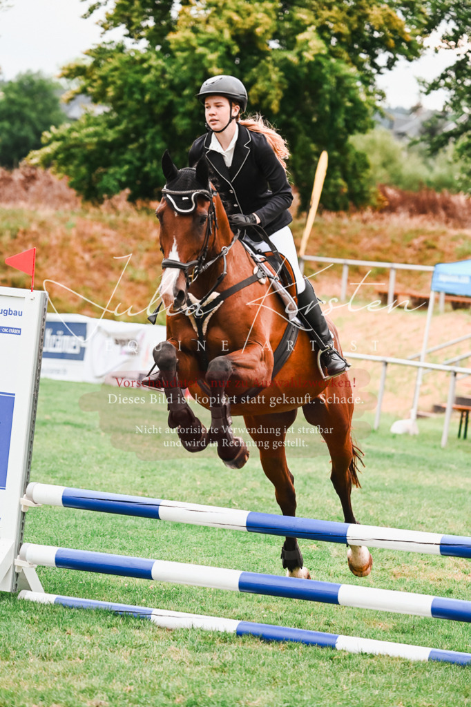 DSC_5929 | Pferde- und Turnierfotografie in Westsachsen. Pferdeportraits, Auftragszeichnungen und intuitive Kunst.