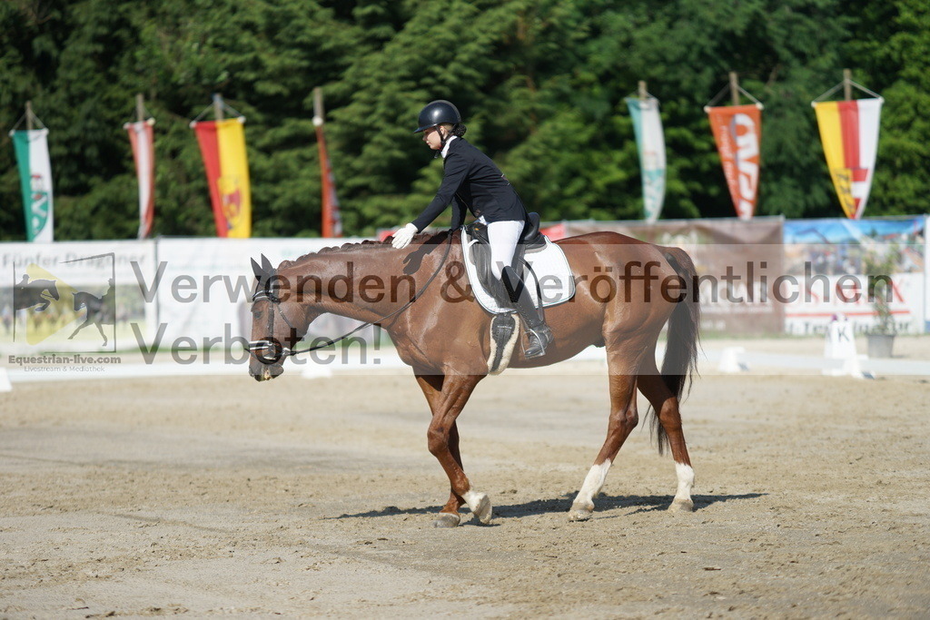 DSC04477 | equestrian-live-com