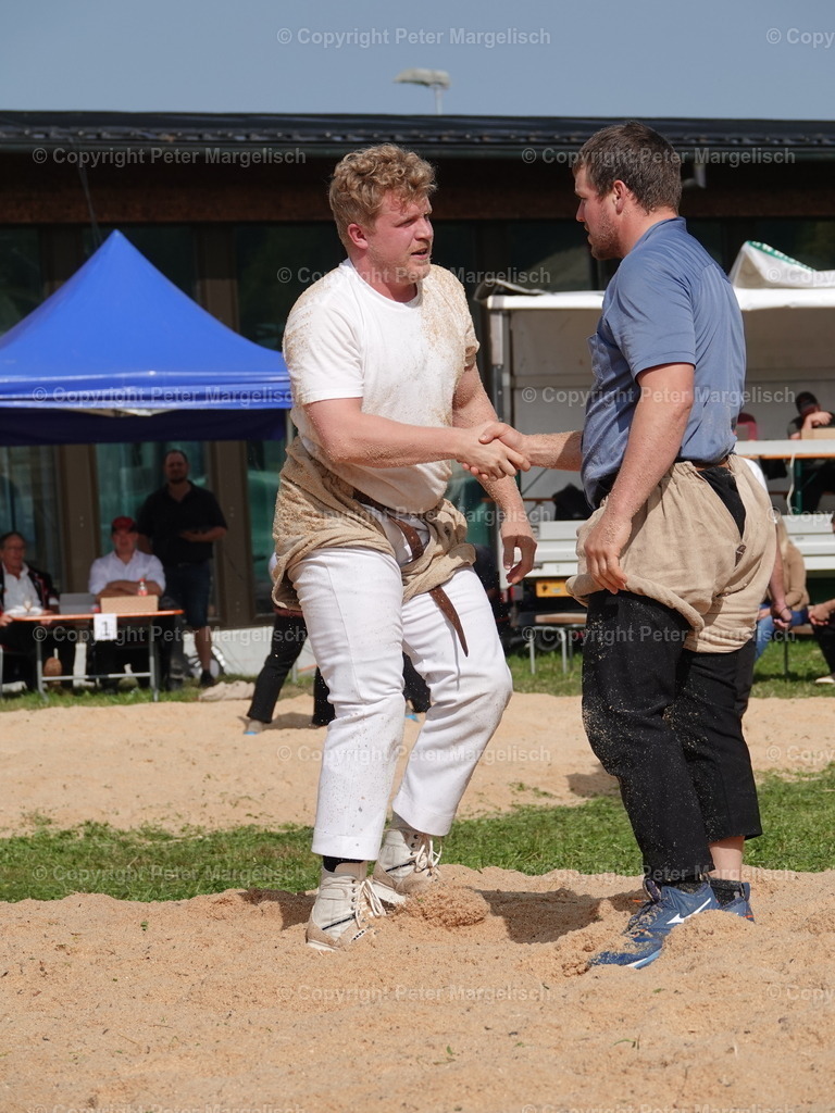 DSC05772 | Schwingen - Realisiert mit Pictrs.com