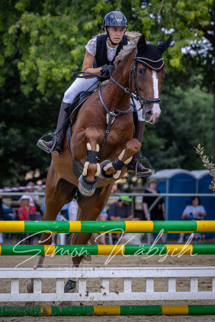 20260704-_3LI9420 | Tierfotografie Pferde, Hunde, Katzen, Haustiere.
Turnierfotografie Reitturniere, Reiten, Springreiten, Dressur in Hanau, dem Main-Kinzig-Kreis und dem Rhein-Main- Gebiet um Frankfurt