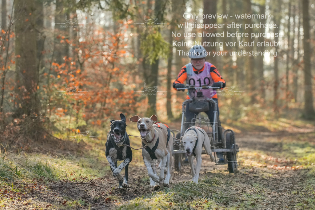 So_Gespanne-3 | stephaniefillaphotographie - Realisiert mit Pictrs.com