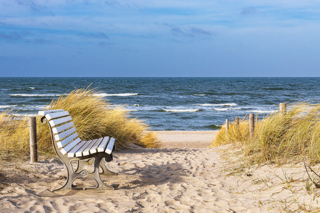 Strand mit Sitzbank an der Küste der Ostsee in Graal Müritz | Strand mit Sitzbank an der Küste der Ostsee in Graal Müritz.