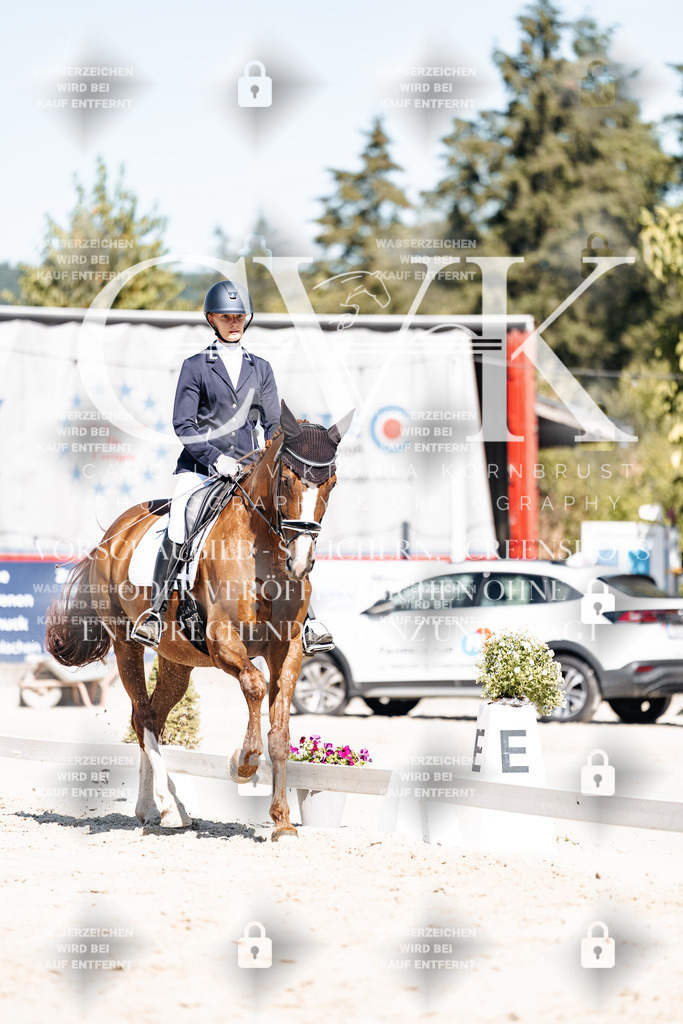 CK909347 | Turnierfotografie Pferdefotografie Trier Rheinland-Pfalz Pferdesport Reitsport Tierfotografie Sportfotografie Pferdevideo Pferdevideografie Equestrianvideography equestrianphotography  - Realisiert mit Pictrs.com