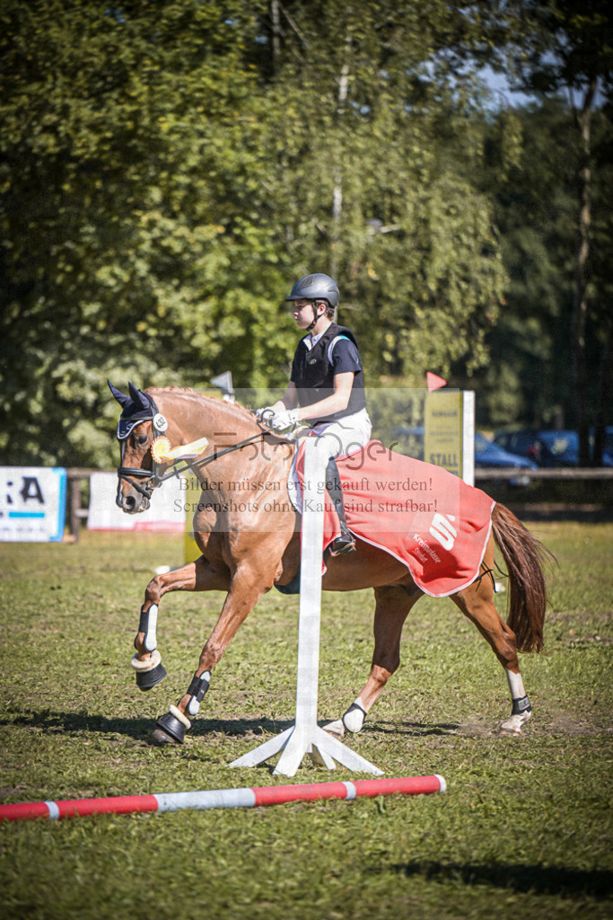 DOS_0065 | Entdecke hochwertige Reitturnierfotos von Foto Oger. Professionell, emotional und authentisch – jetzt Lieblingsmomente im Shop bestellen.Deutschlandweite Turnierfotografie. - Realisiert mit Pictrs.com