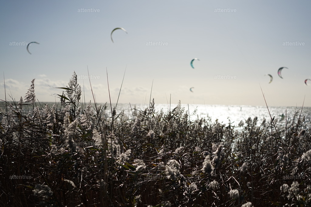 Dragons | 't Mirnser Klif, Niederlande - Realisiert mit Pictrs.com