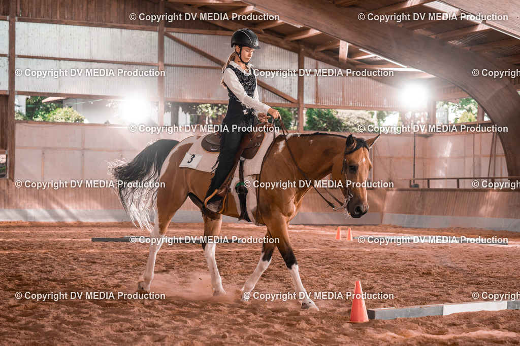 NE200237 | dv-media-shop - Realisiert mit Pictrs.com