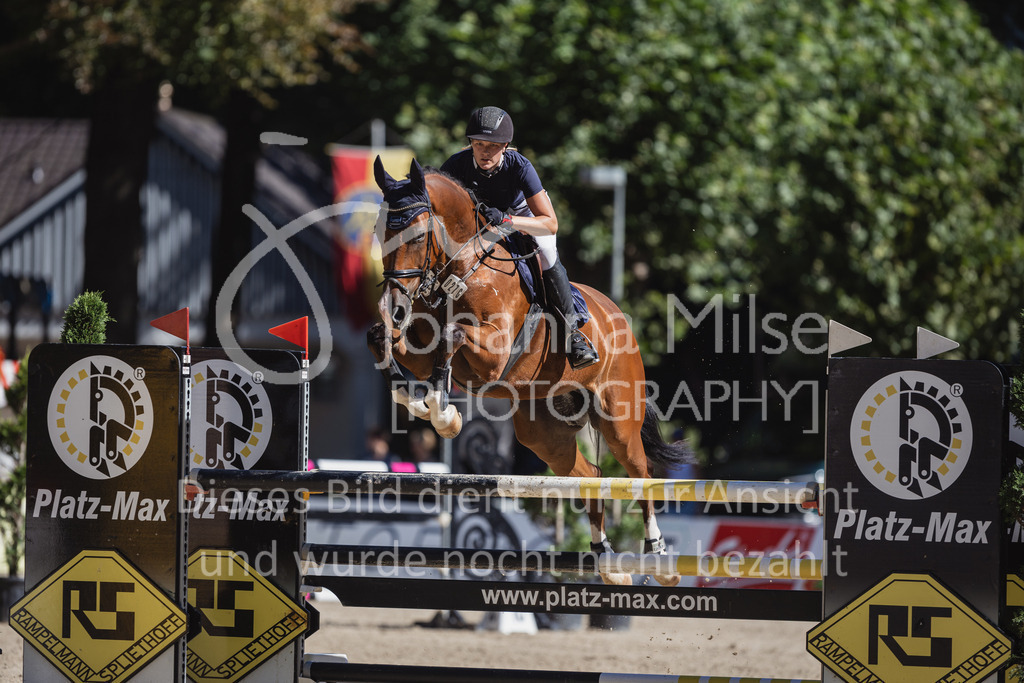 230907_OWLCh_SpringpferdeM-118 | Deine schönsten Turniermomente als professionelle Fotos! Entdecke hochwertige Pferdesport-Fotografie im Online-Shop. Jetzt Fotos finden & bestellen!