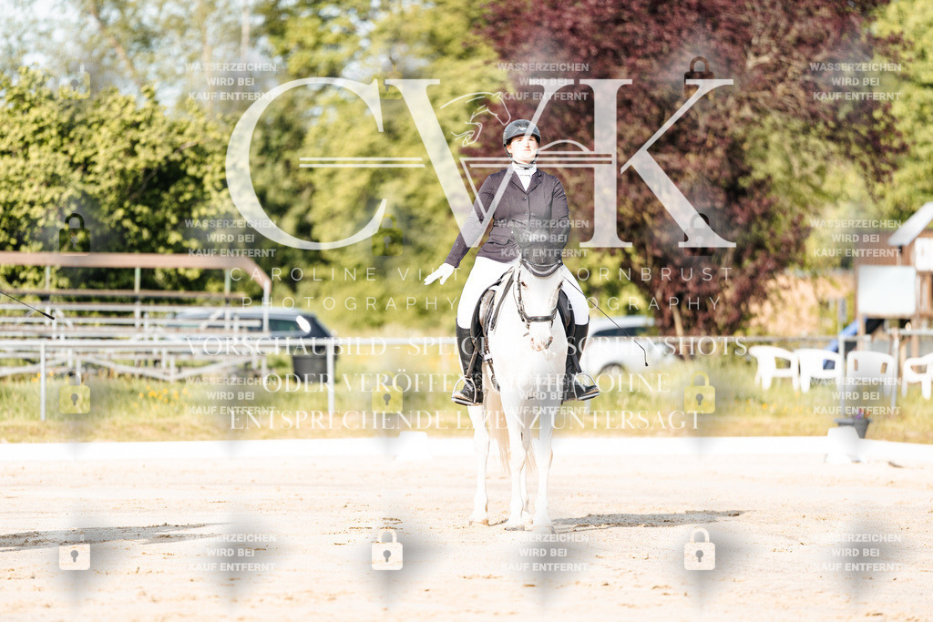 CK909993 | Turnierfotografie Pferdefotografie Trier Rheinland-Pfalz Pferdesport Reitsport Tierfotografie Sportfotografie Pferdevideo Pferdevideografie Equestrianvideography equestrianphotography  - Realisiert mit Pictrs.com