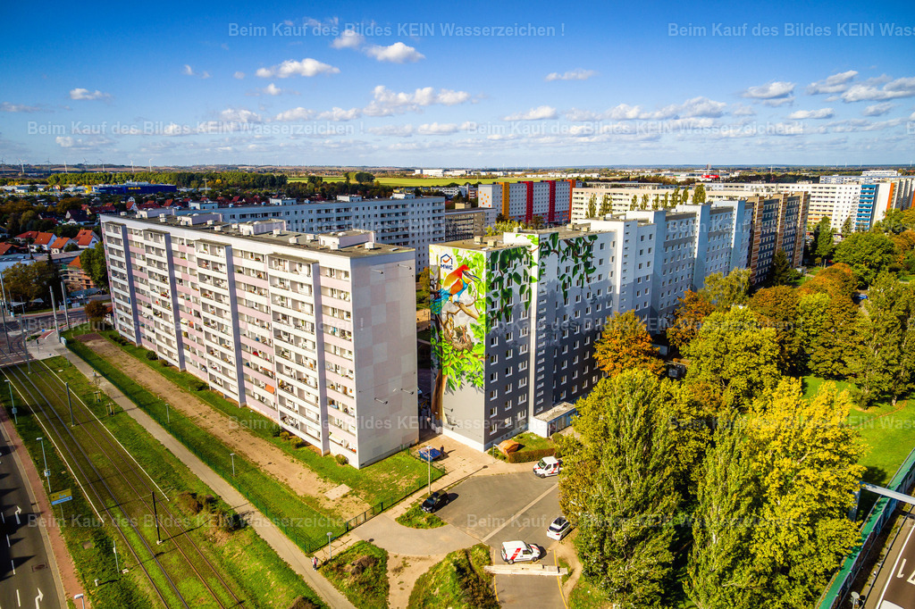 MWG Kannenstieg-0020 | Wandbild der MWG Magdeburg Nord - Realizado com Pictrs.com