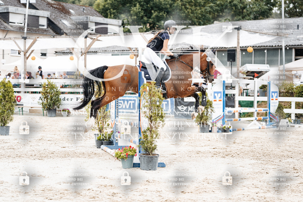 CK908622 | Turnierfotografie Pferdefotografie Trier Rheinland-Pfalz Pferdesport Reitsport Tierfotografie Sportfotografie Pferdevideo Pferdevideografie Equestrianvideography equestrianphotography  - Realisiert mit Pictrs.com
