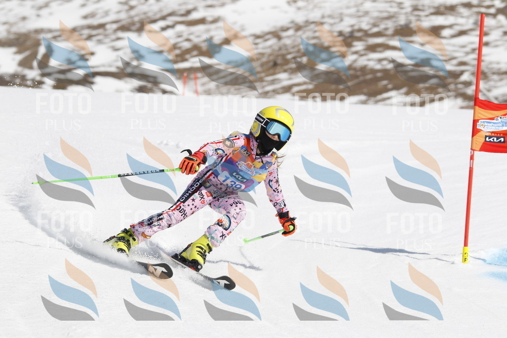 _U3G1017 | holidayphoto