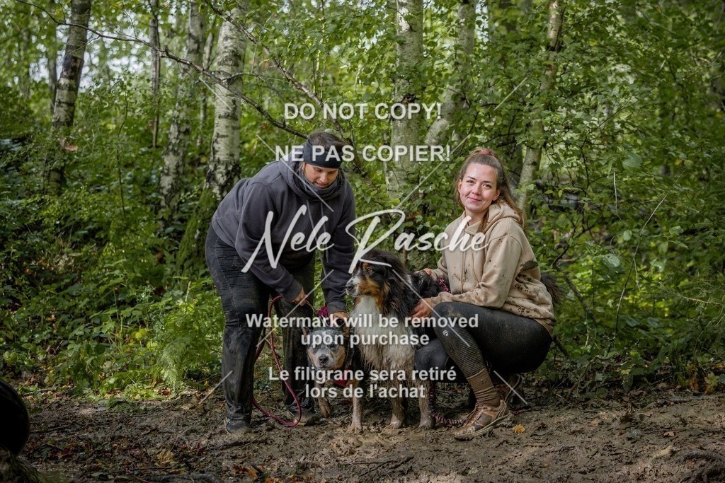 nelerasche_Hunsrück_Sa1430-1500_334-final | nelerasche