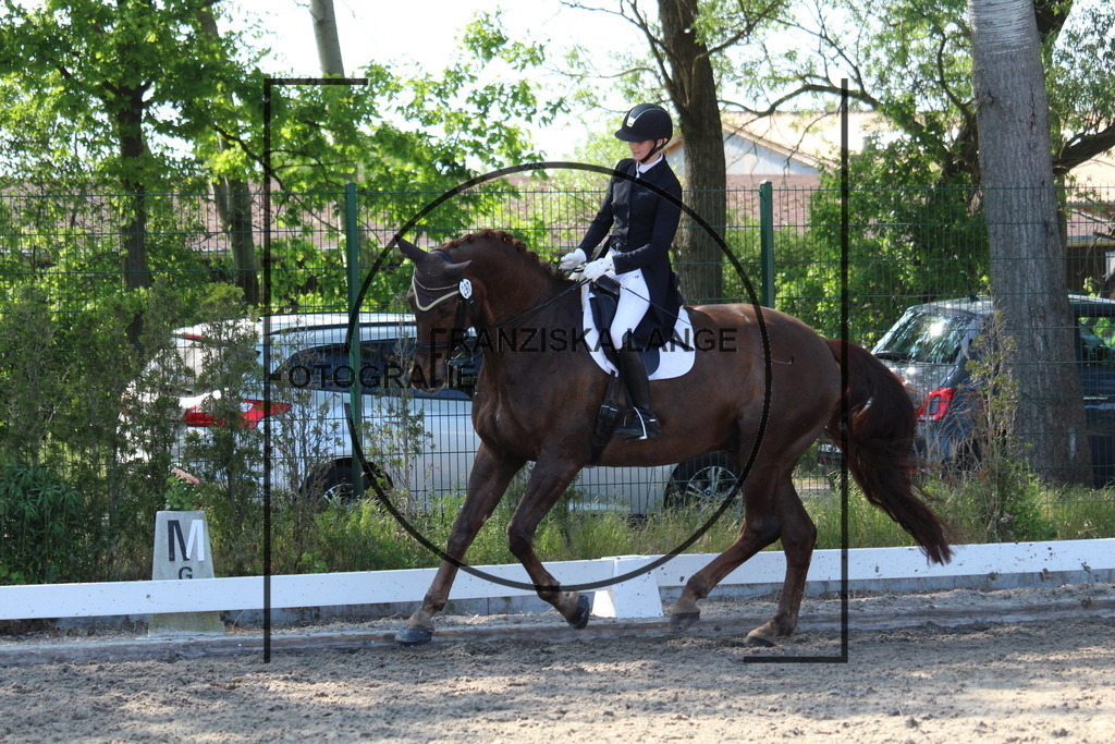 IMG_5579 | franziskalange - Realisiert mit Pictrs.com