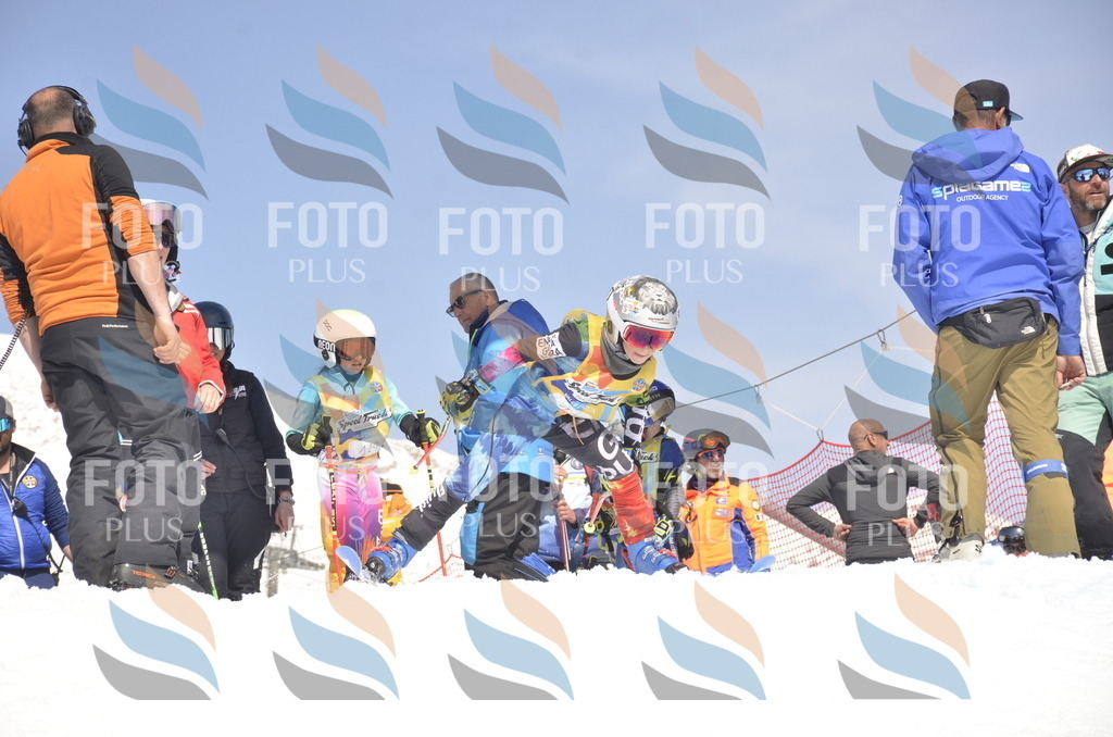 _ELE9540 | holidayphoto