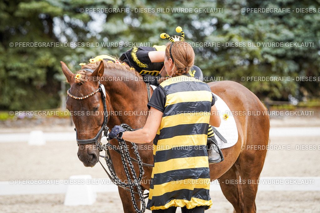 DSC03163 | Pferdegrafie