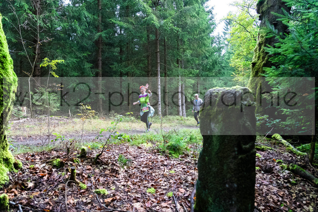Rennsteiglauf 2021 | Marathon Neuhaus/Rwg. - Schmiedefeld