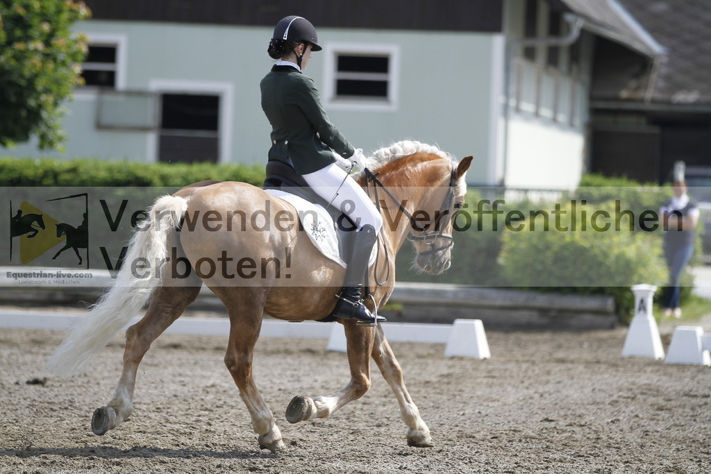 _MG_9569 | equestrian-live-com