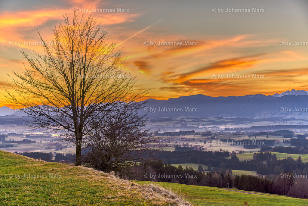 Goldener Jahresstart | Professionelle Landschaftsfotografie, Inneneinrichtung, Kunst für Ihre Wohnung, Kanzlei, Praxis oder als Geschenk. Aussuchen und einfach liefern lassen. Raumgestaltungsberatung auf Anfrage. - Realisiert mit Pictrs.com