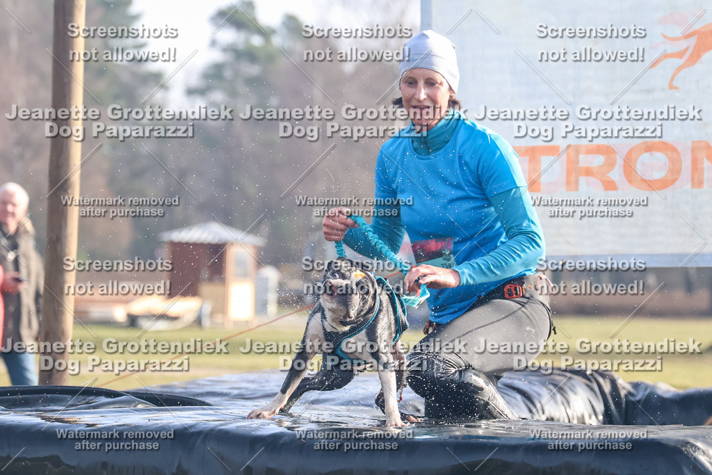 Dog Paparazzi - Strongdog North Mrz26-85 | Dog Paparazzi Jeanette Grottendiek Fotografie & Videografie - Realisiert mit Pictrs.com