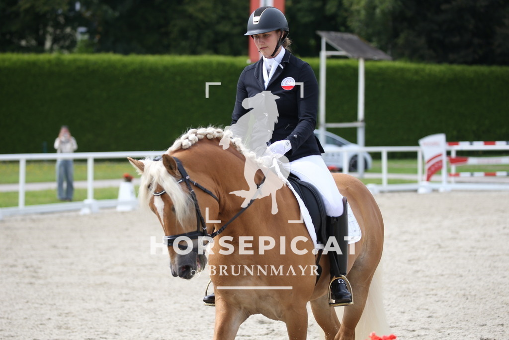 DL2Q3404 | Willkommen bei Brunnmayr - Design & Fotografie – Ihrem Spezialisten für Reitturniere und Pferdeveranstaltungen in Oberösterreich, Salzburg und Bayern! Seit über 17 Jahren sind wir leidenschaftlich dabei.