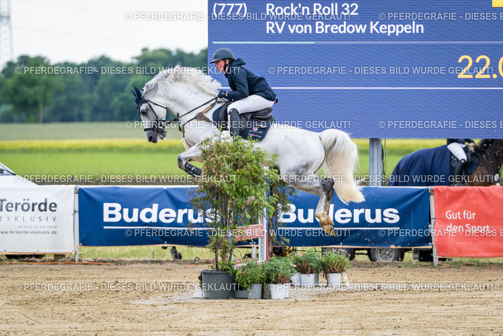 DSC04384 | Pferdegrafie