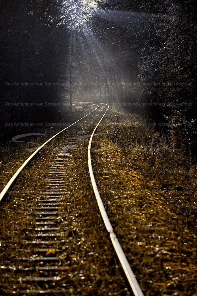 Schienen nach Nirgendwo | People- und Tierfotografie, Imageaufnahmen, Veranstaltungsfotografie und Wandbilder aus der Natur ★ Made in Germany ✔️ Druck + Downloads ✔️ Naturfotografie in Top Qualität ★ schneller Versand, weltweite Lieferung! - Realisiert mit Pictrs.com