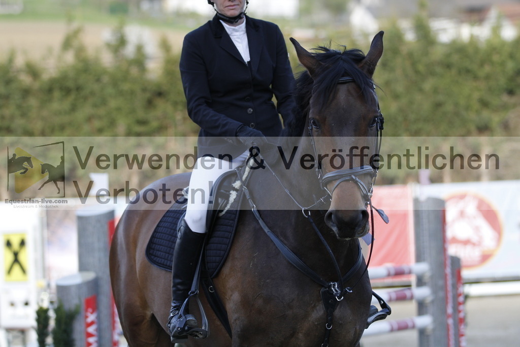 _MG_8653 | equestrian-live-com