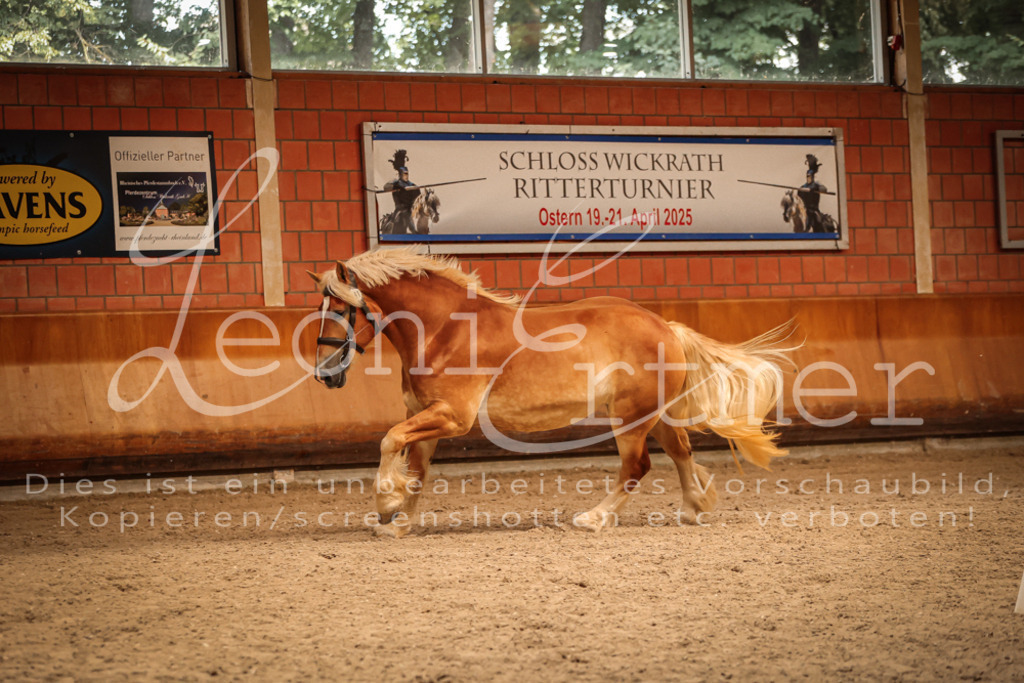 SaFL00255 | Leoni Ertmer Photography - Realisiert mit Pictrs.com