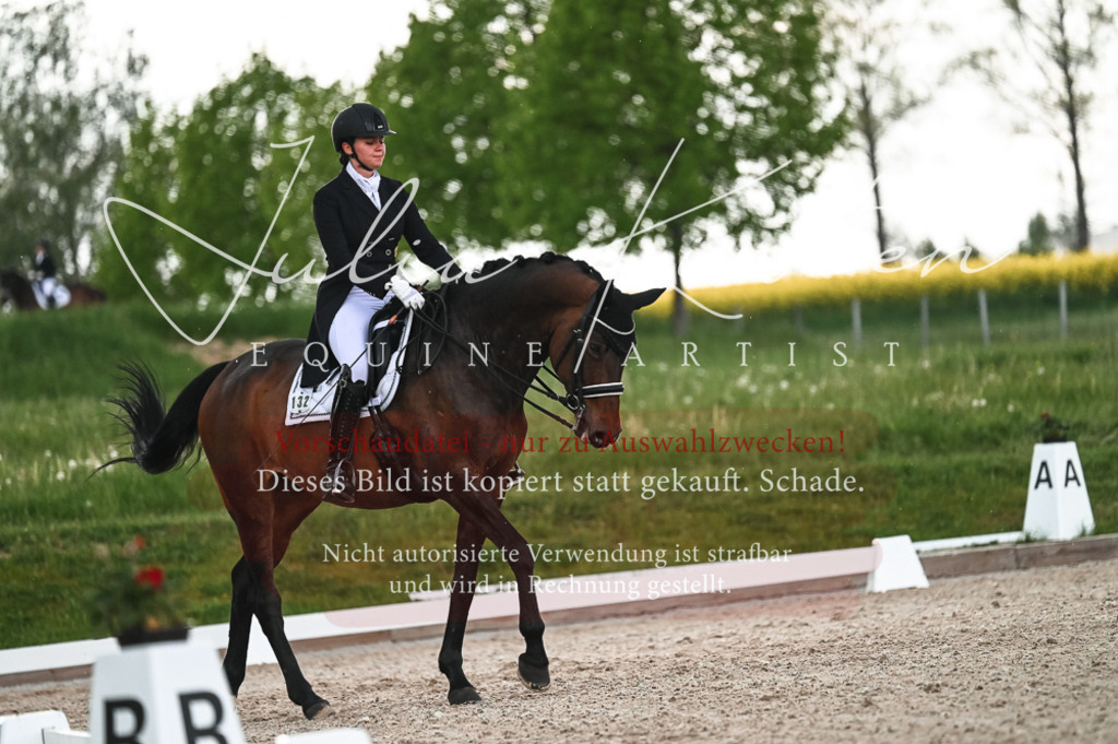20230514_JK-Röhrsdorf-21-509 | Pferde- und Turnierfotografie in Westsachsen. Pferdeportraits, Auftragszeichnungen und intuitive Kunst.