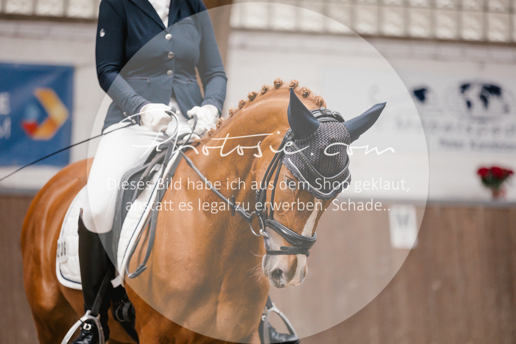 3I6A6729 | Stimmungsvolle Portraits und Reitsportfotografie im Ruhrgebiet und im Münsterland.

Pferdefotografie, Hundefotografie, Tierfotografie, Reportagen, Portraits von Tier und Mensch, Turnierfotografie in Bochum, Recklinghausen, Marl, Haltern am See, Dülmen.. - Realisiert mit Pictrs.com