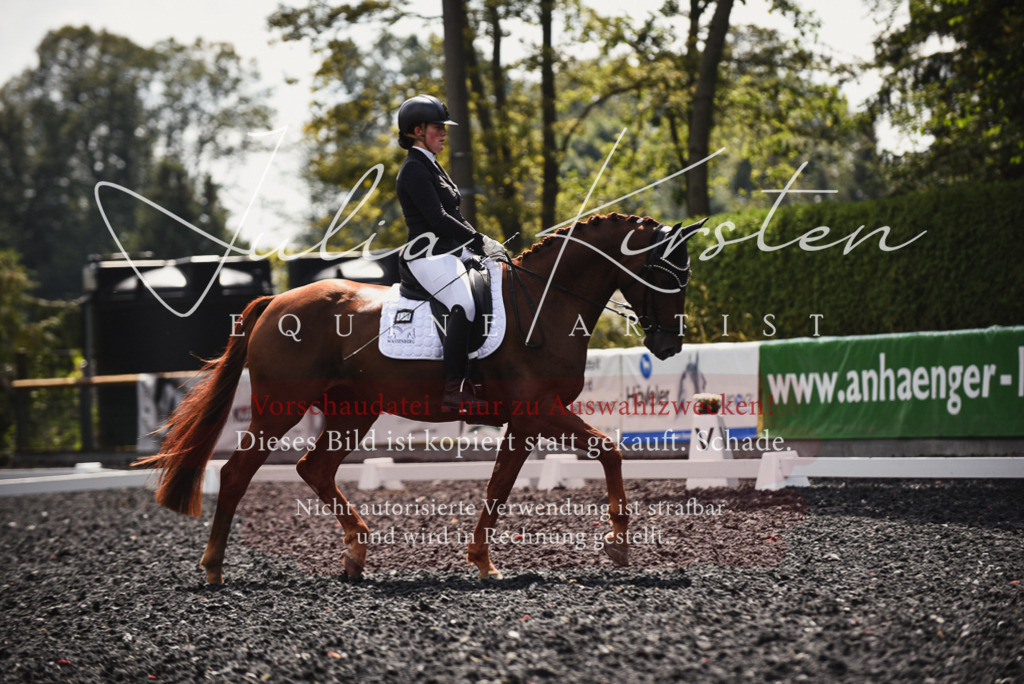 DSC_4206 | Pferde- und Turnierfotografie in Westsachsen. Pferdeportraits, Auftragszeichnungen und intuitive Kunst.