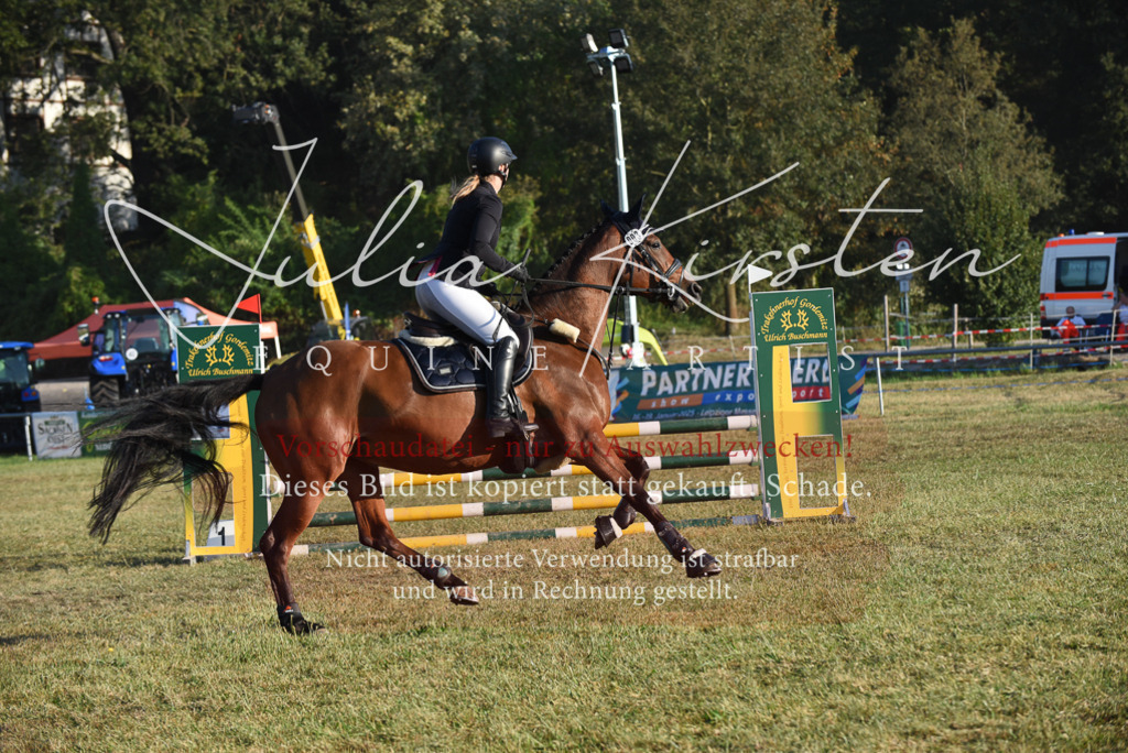 DSC_4856 | Pferde- und Turnierfotografie in Westsachsen. Pferdeportraits, Auftragszeichnungen und intuitive Kunst.