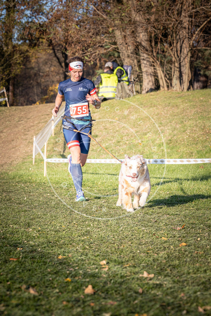 CaniXpix_0L8A0035 | Hundefotografie, Tierfotograf, Pfotenfotografie, Fotoshooting Hund, Hunde Portrait, Hundesport, Hundeportraits, Heideshooting, Hunde, Sportfotograf, Hundefotograf, Turnierhundsport, THS,  - Realisiert mit Pictrs.com
