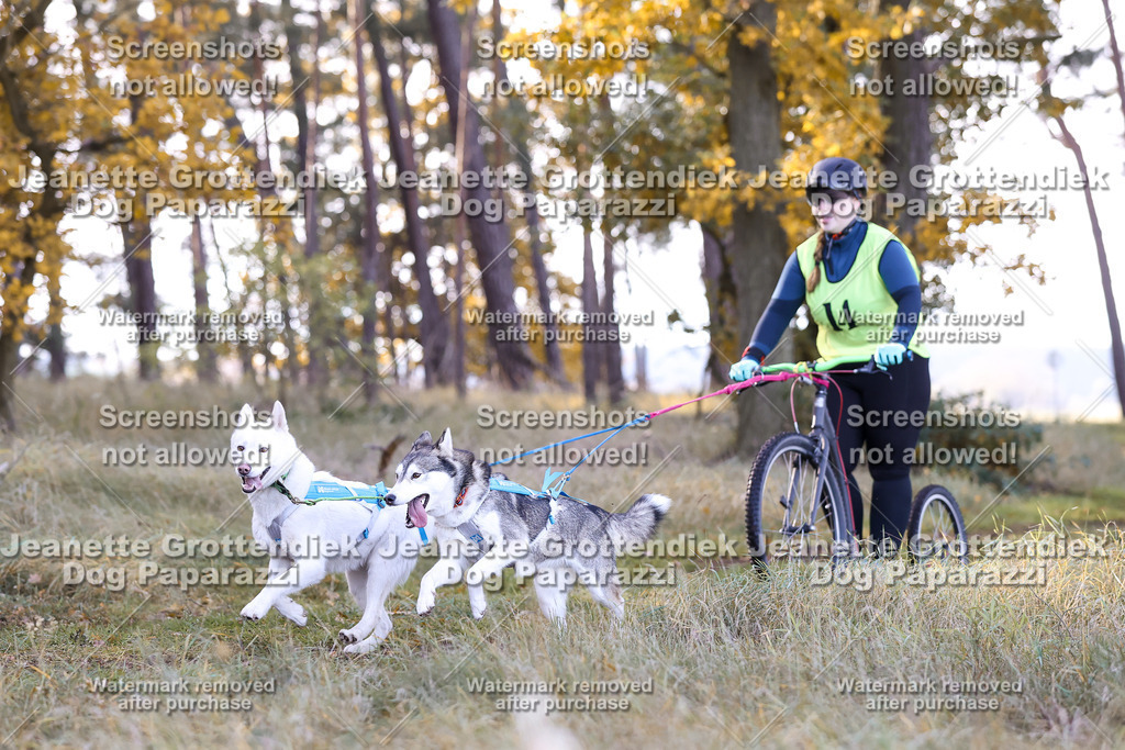 Dog Paparazzi - Elsholz 25 -78 | Dog Paparazzi Jeanette Grottendiek Fotografie & Videografie - Realisiert mit Pictrs.com