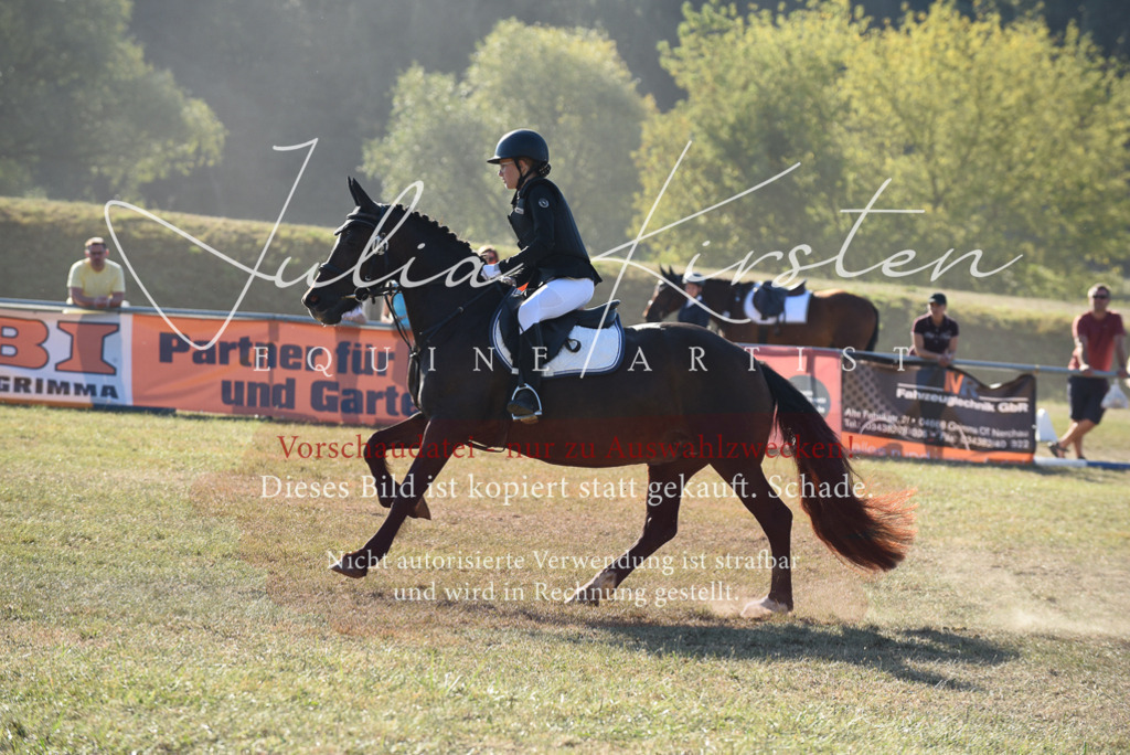 DSC_5558 | Pferde- und Turnierfotografie in Westsachsen. Pferdeportraits, Auftragszeichnungen und intuitive Kunst.