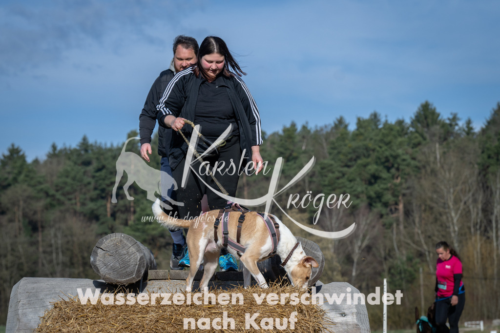 0905_ZZ91065 | kk-dogfotos