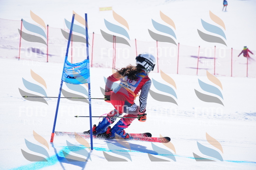 DSC_3771 | holidayphoto