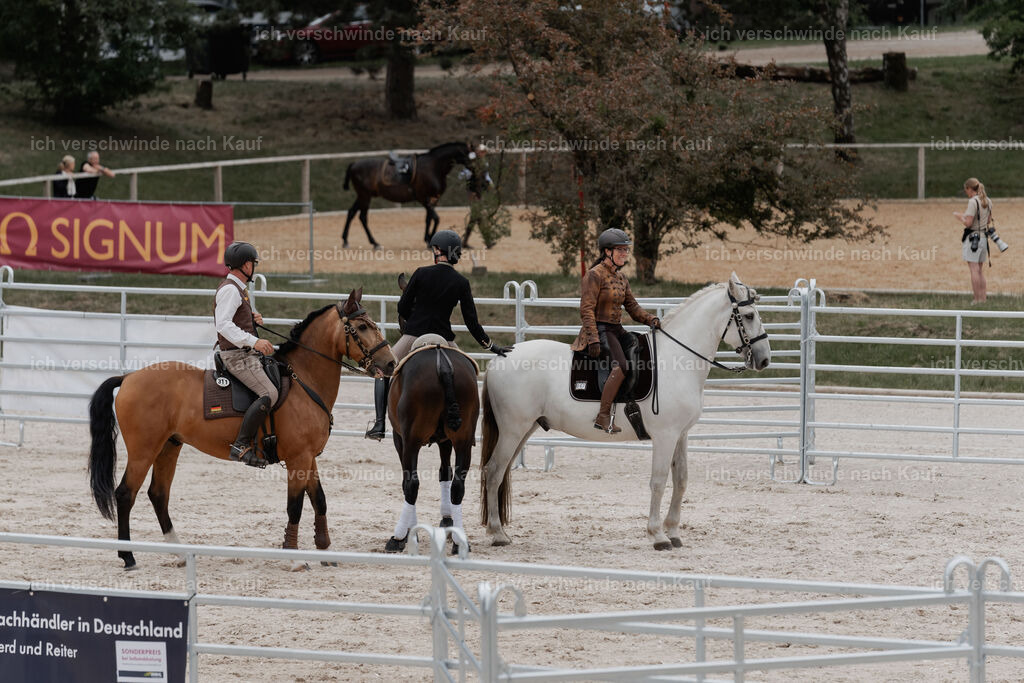 WE__Stoib_Rinder_PI2025_3088 | Pferd International München 2025