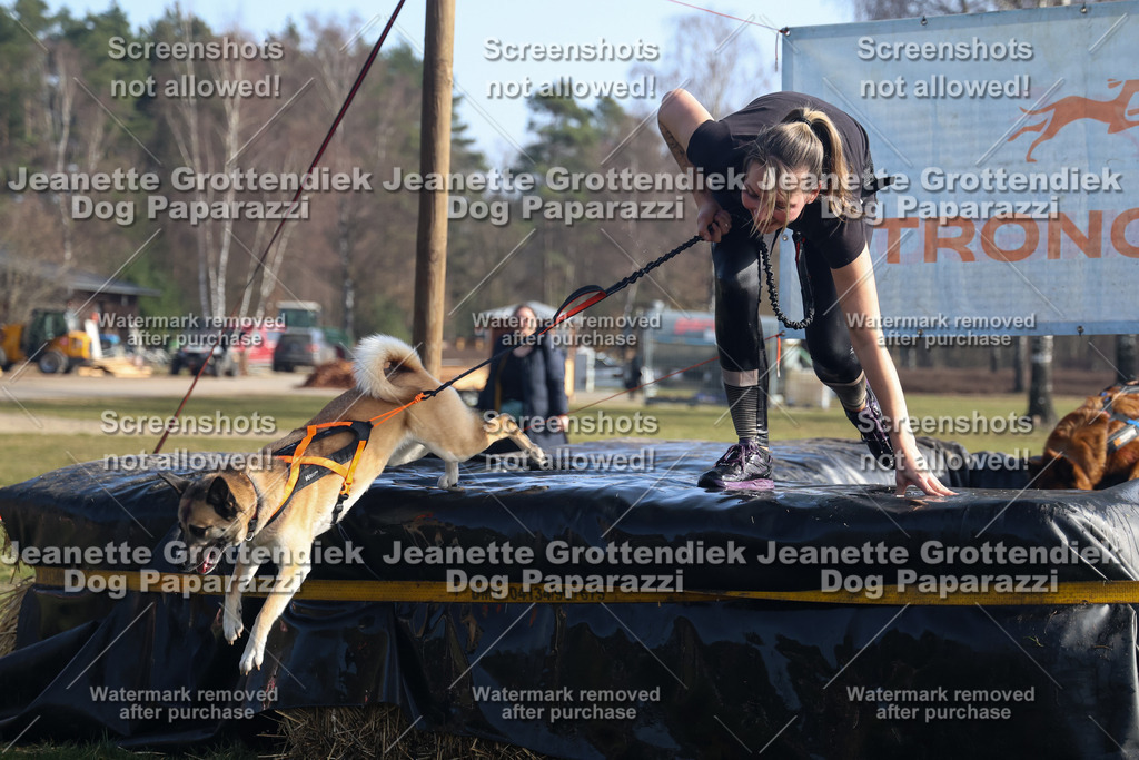 Dog Paparazzi - Strongdog North Mrz26-1268 | Dog Paparazzi Jeanette Grottendiek Fotografie & Videografie - Realisiert mit Pictrs.com