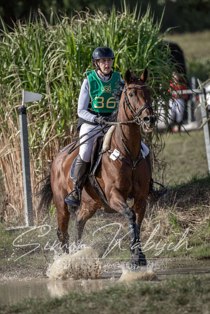 20250907-_3LI3729 | Tierfotografie Pferde, Hunde, Katzen, Haustiere.
Turnierfotografie Reitturniere, Reiten, Springreiten, Dressur in Hanau, dem Main-Kinzig-Kreis und dem Rhein-Main- Gebiet um Frankfurt