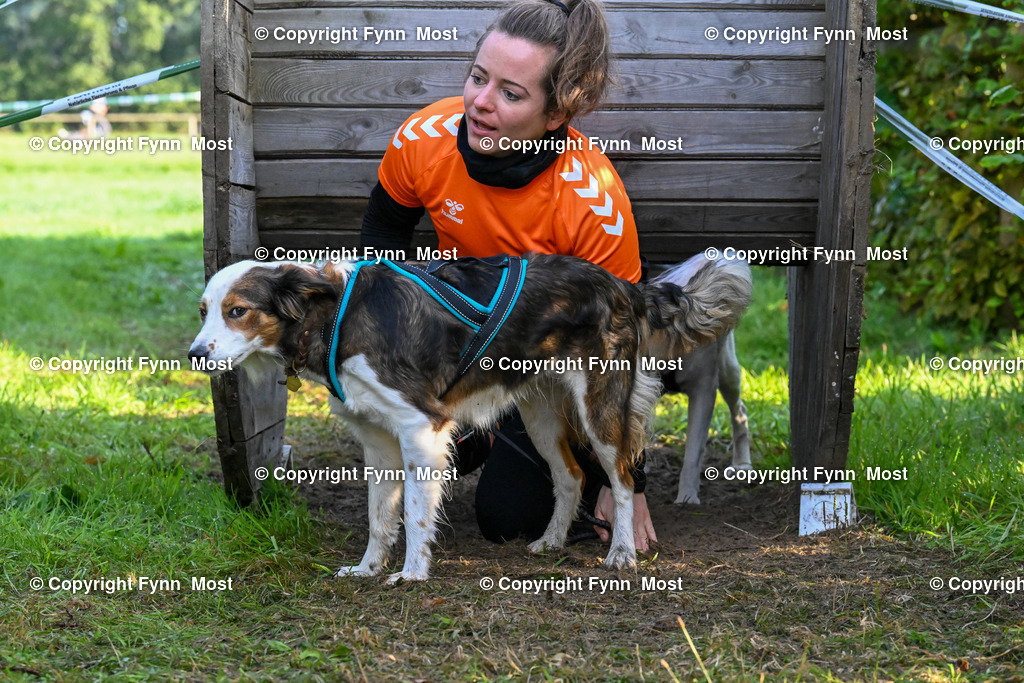 DSC_5269 | Hallo und herzlich Willkommen auf meiner Shop-Seite Fynn Most.

Ich wünsche Dir viel Spaß beim stöbern durch die Bilder, wenn Du Fragen hast oder Bilder vermisst, kannst du mir gerne eine Nachricht schreiben. - Realisiert mit Pictrs.com