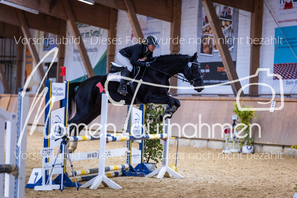 Sth-Gewöhnung-013 | MomenTaufnahmen Pferdesportfotos