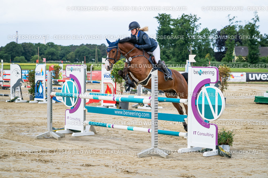 DSC03356 | Pferdegrafie