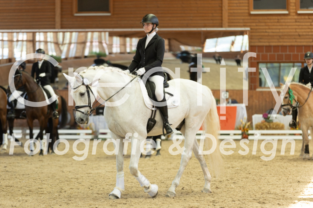 IMG_0213 | Creatify Fotografie