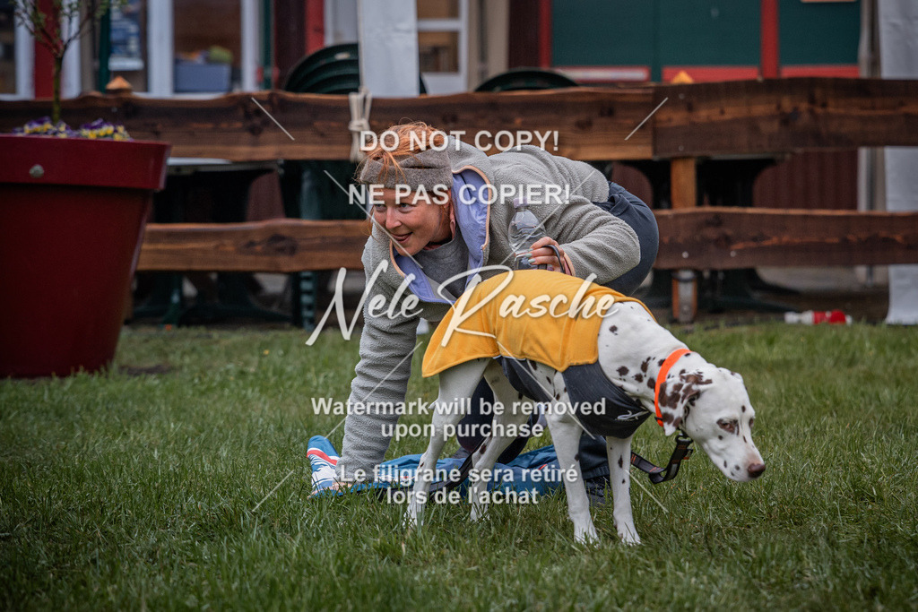 nelerasche_SoAuszug_225 | nelerasche