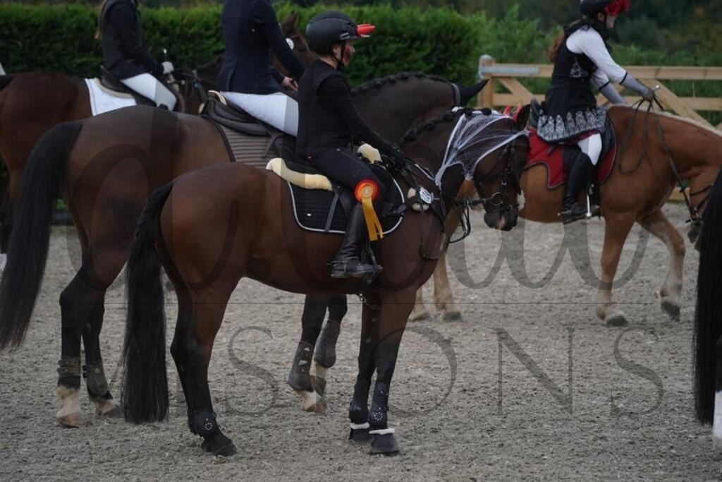 pfmagarethenhof (114) | d.tail Visions - Shop - Realisiert mit Pictrs.com