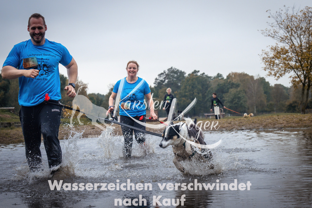 1219_ZZ99195 | kk-dogfotos