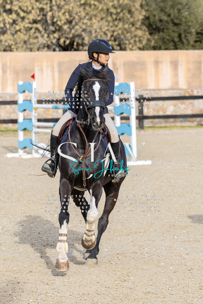 IMG_0460 | s-jay-photography - Realisiert mit Pictrs.com