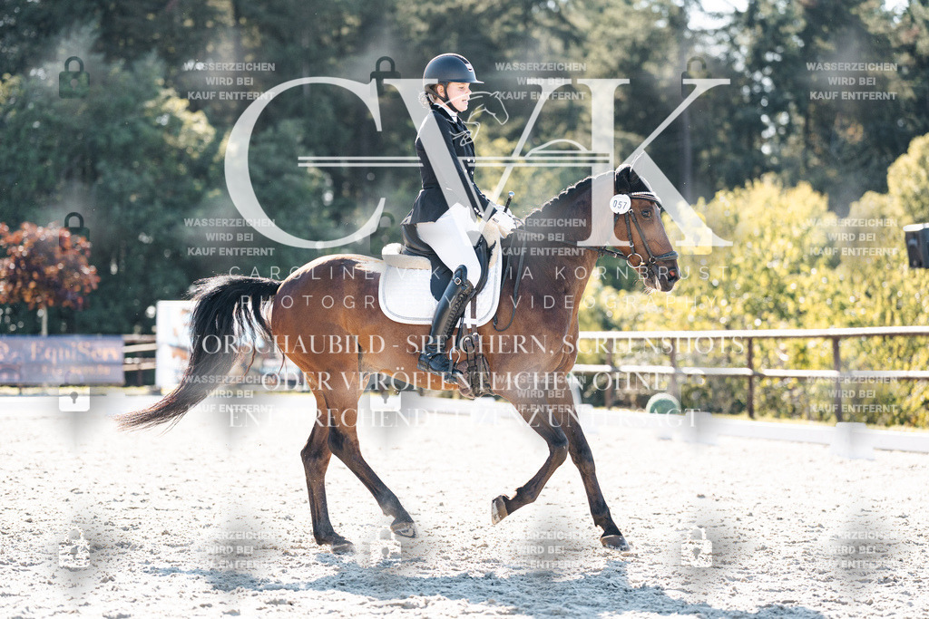 CK906263 | Turnierfotografie Pferdefotografie Trier Rheinland-Pfalz Pferdesport Reitsport Tierfotografie Sportfotografie Pferdevideo Pferdevideografie Equestrianvideography equestrianphotography  - Realisiert mit Pictrs.com